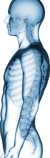 blue spinal x-ray illustration